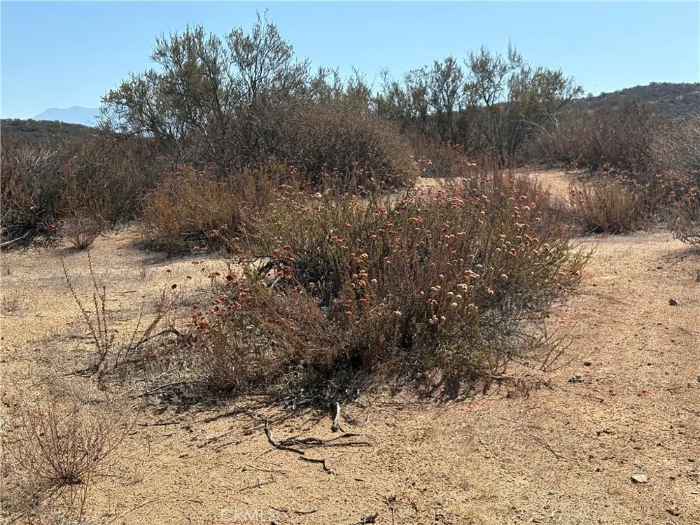 Newby Road Hemet, CA 92543