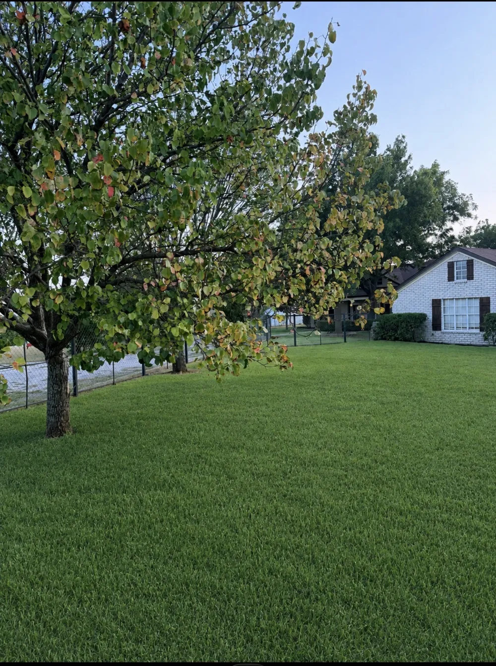 648 County Road 1591 Sunset, TX 76270