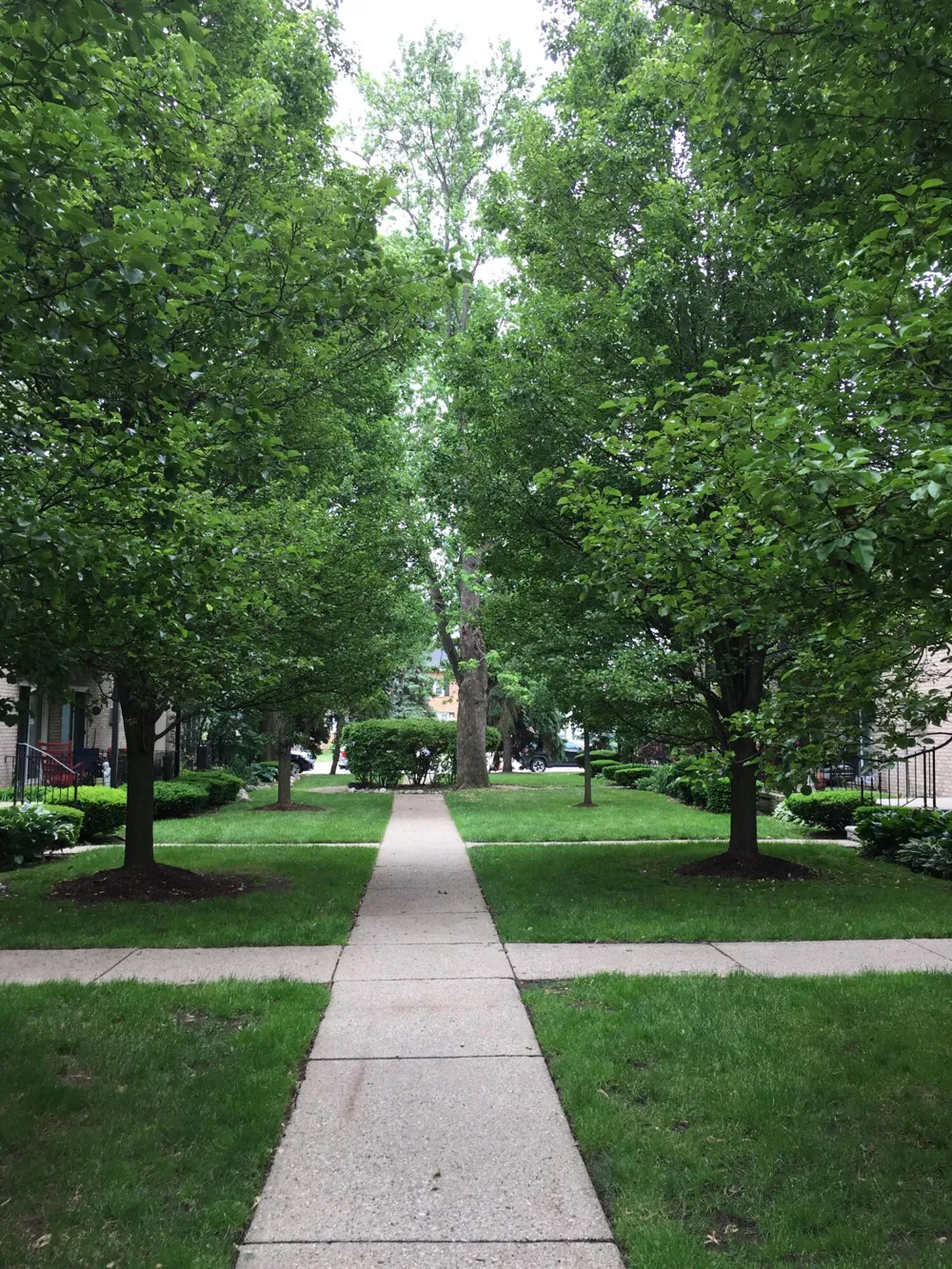 1717 E 14 Mile Road #C Birmingham, MI 48009