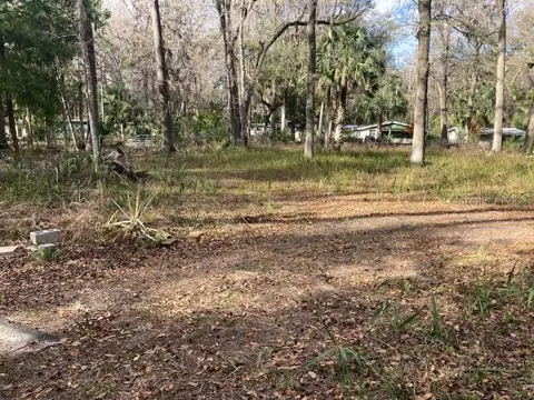 2456 JUNGLE CAMP ROAD #1