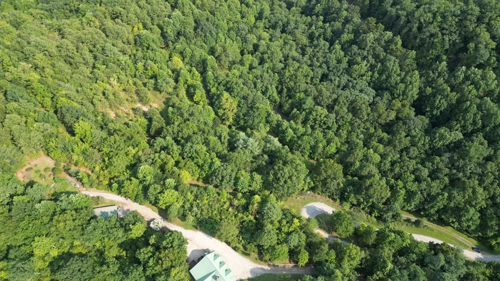 Kozy Lane Andrews, NC 28901