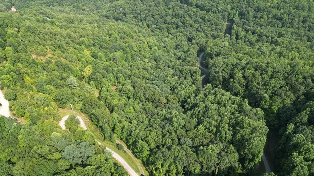 Kozy Lane Andrews, NC 28901