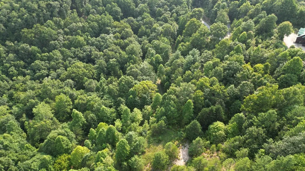 Kozy Lane Andrews, NC 28901