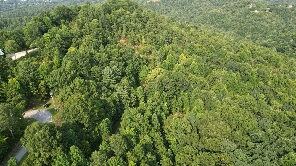 Kozy Lane Andrews, NC 28901