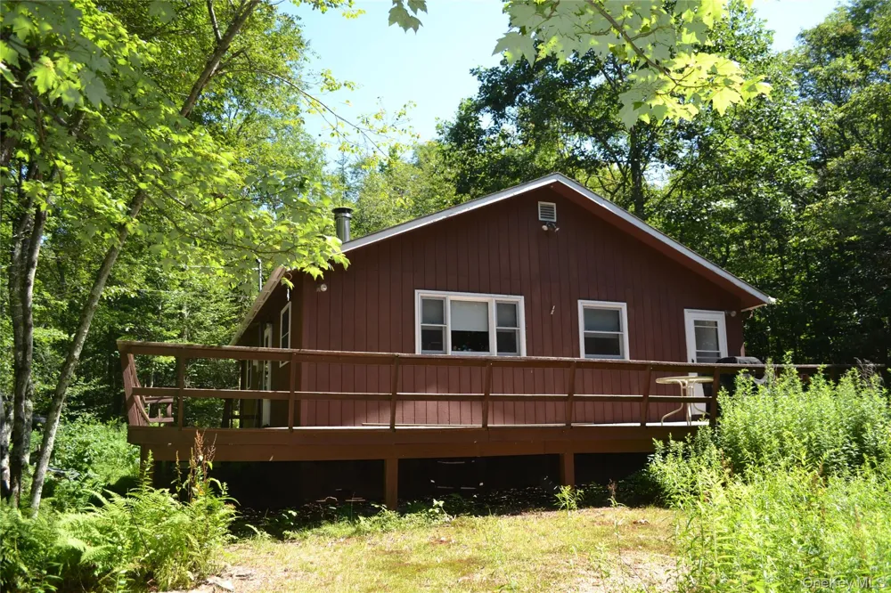 3897 Campbell Mountain Road Downsville, NY 13755