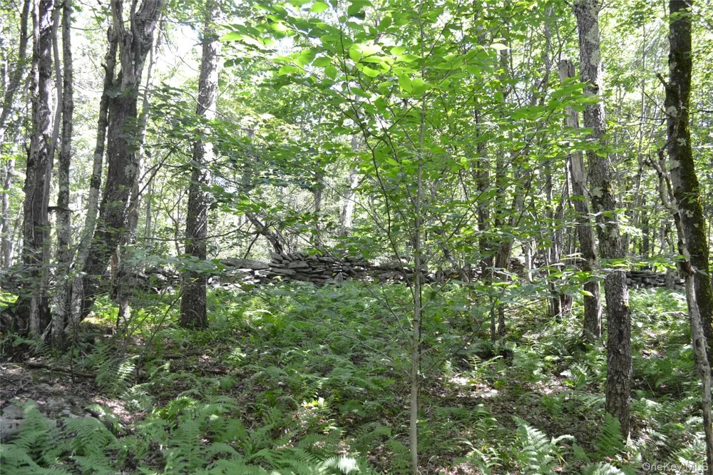 3897 Campbell Mountain Road Downsville, NY 13755