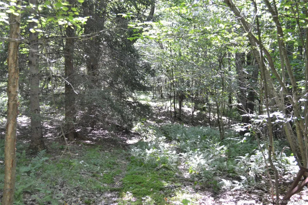 3897 Campbell Mountain Road Downsville, NY 13755