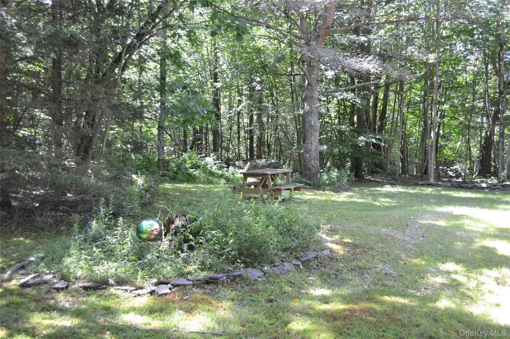 3897 Campbell Mountain Road Downsville, NY 13755