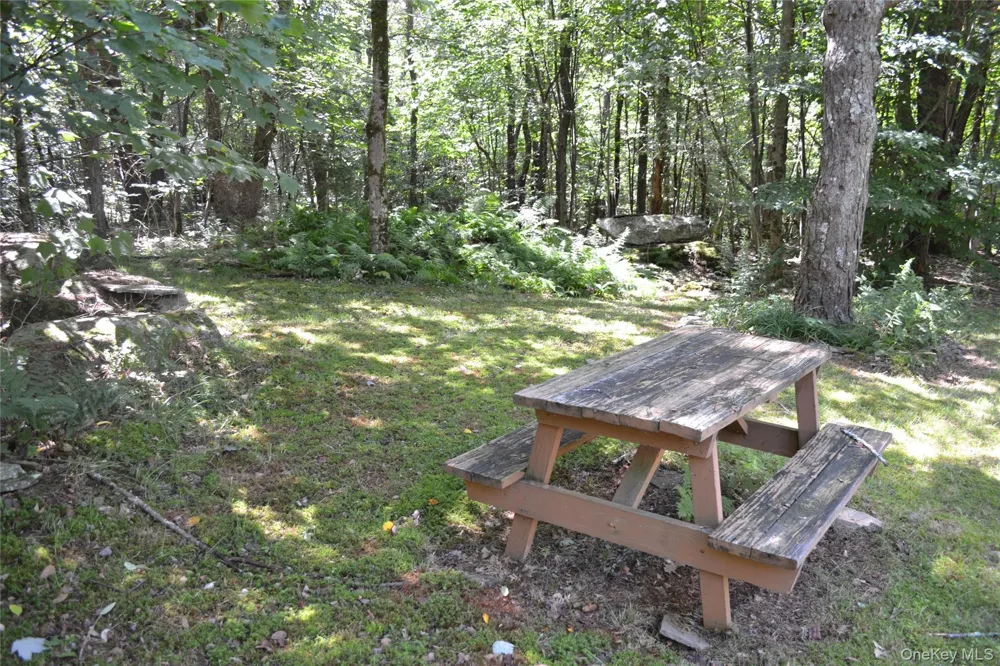 3897 Campbell Mountain Road Downsville, NY 13755