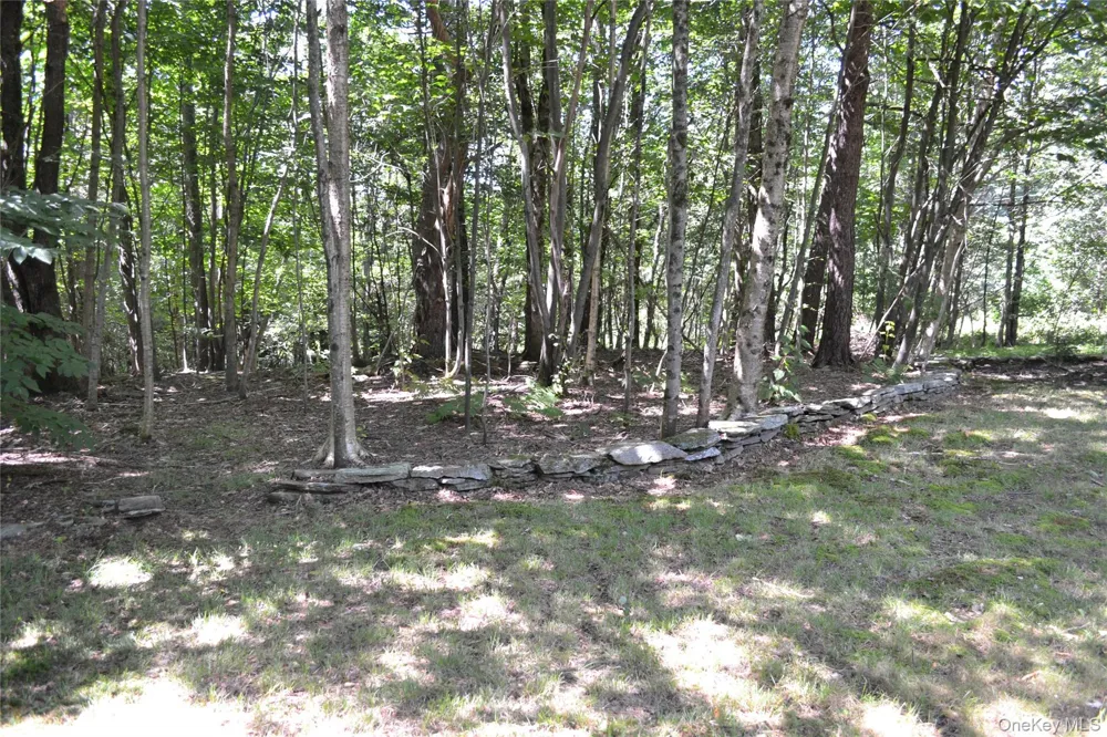 3897 Campbell Mountain Road Downsville, NY 13755