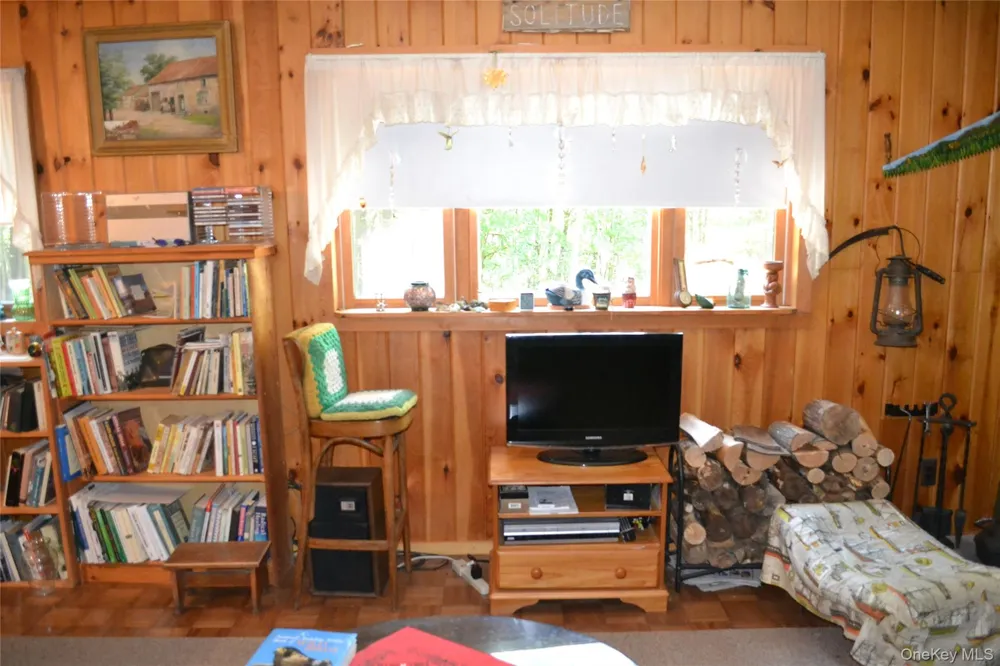 3897 Campbell Mountain Road Downsville, NY 13755