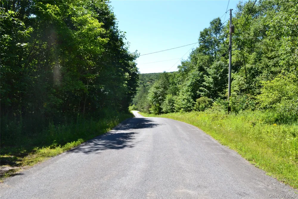 3897 Campbell Mountain Road Downsville, NY 13755