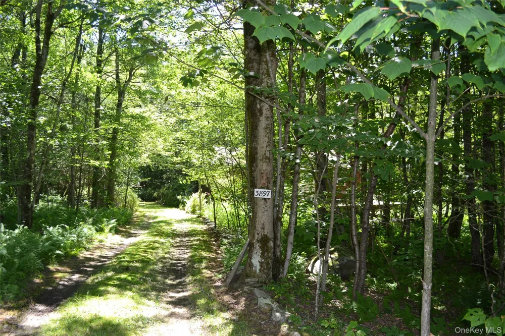 3897 Campbell Mountain Road Downsville, NY 13755
