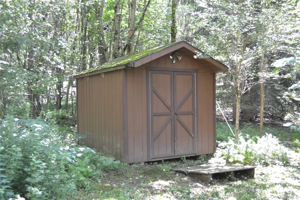 3897 Campbell Mountain Road Downsville, NY 13755