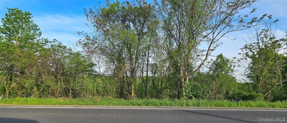 X Old Mountain Road Otisville, NY 10963