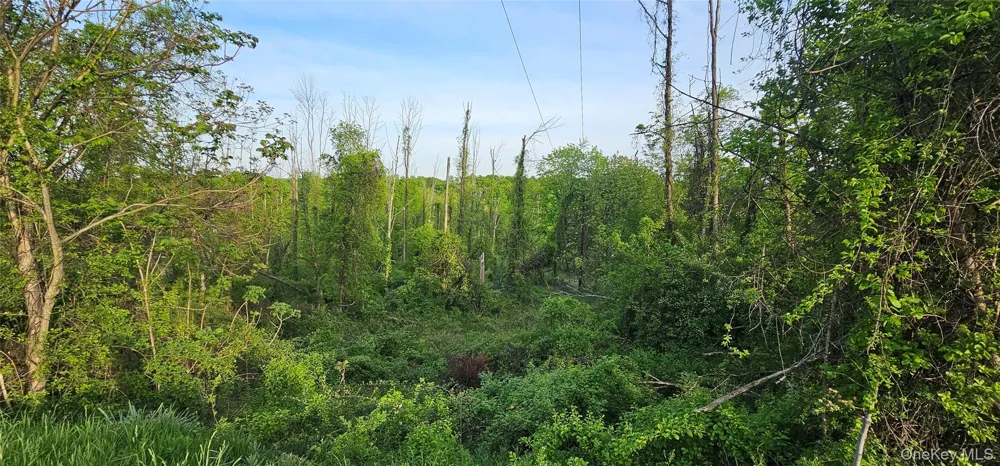 X Old Mountain Road Otisville, NY 10963
