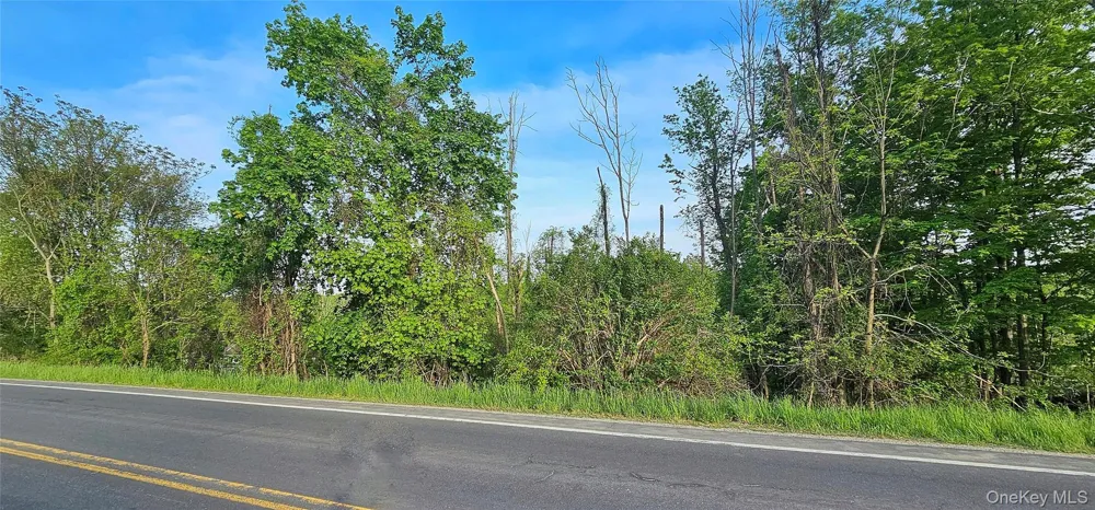X Old Mountain Road Otisville, NY 10963