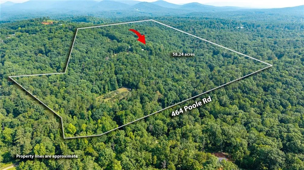 464 Poole Road Ball Ground, GA 30107