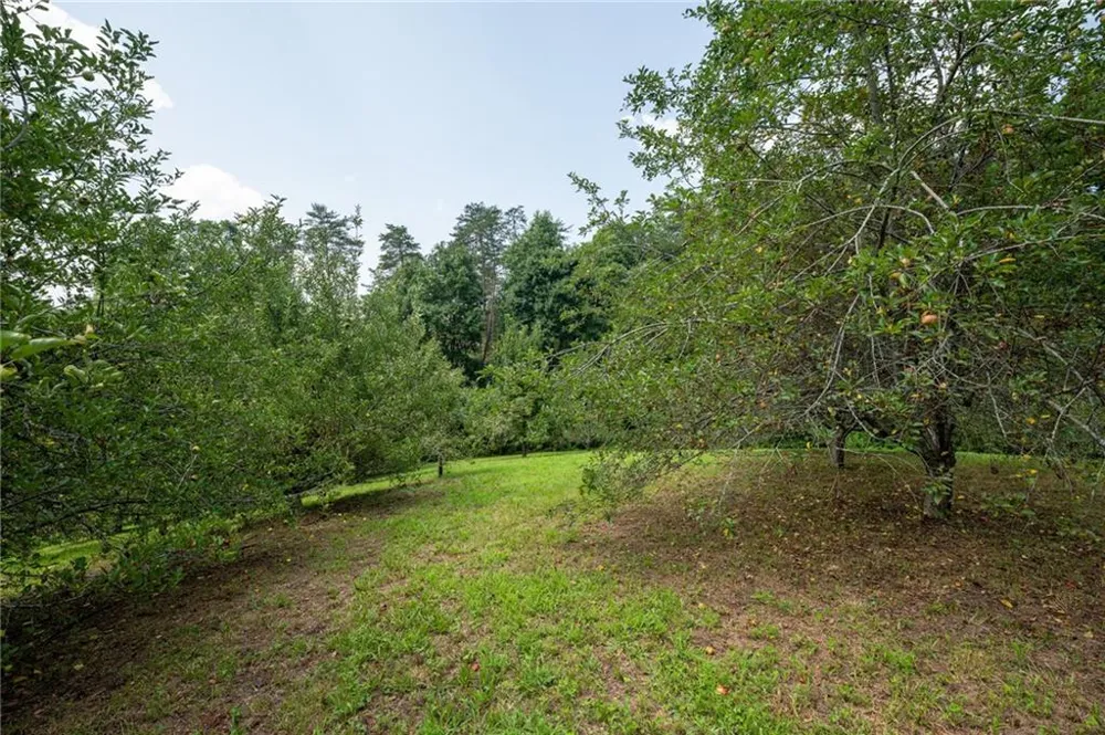 464 Poole Road Ball Ground, GA 30107
