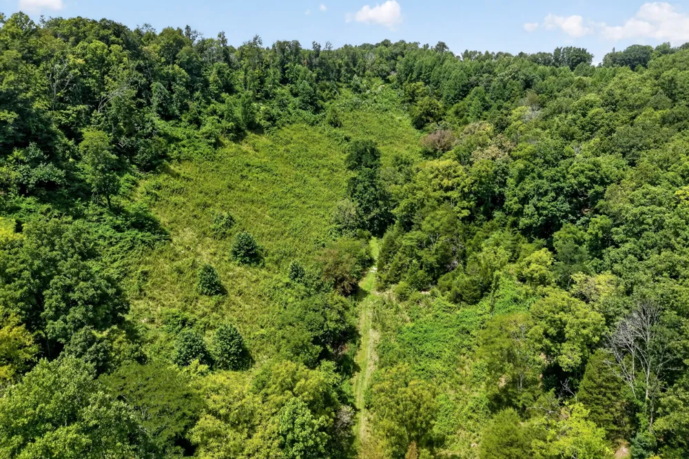 2949 Wilmouth Creek Rd Liberty, TN 37095