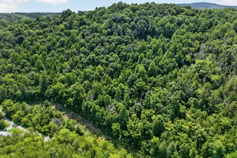 2949 Wilmouth Creek Rd
