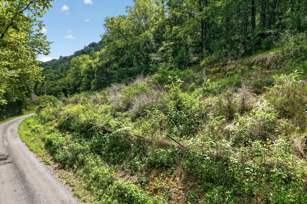 2949 Wilmouth Creek Rd Liberty, TN 37095