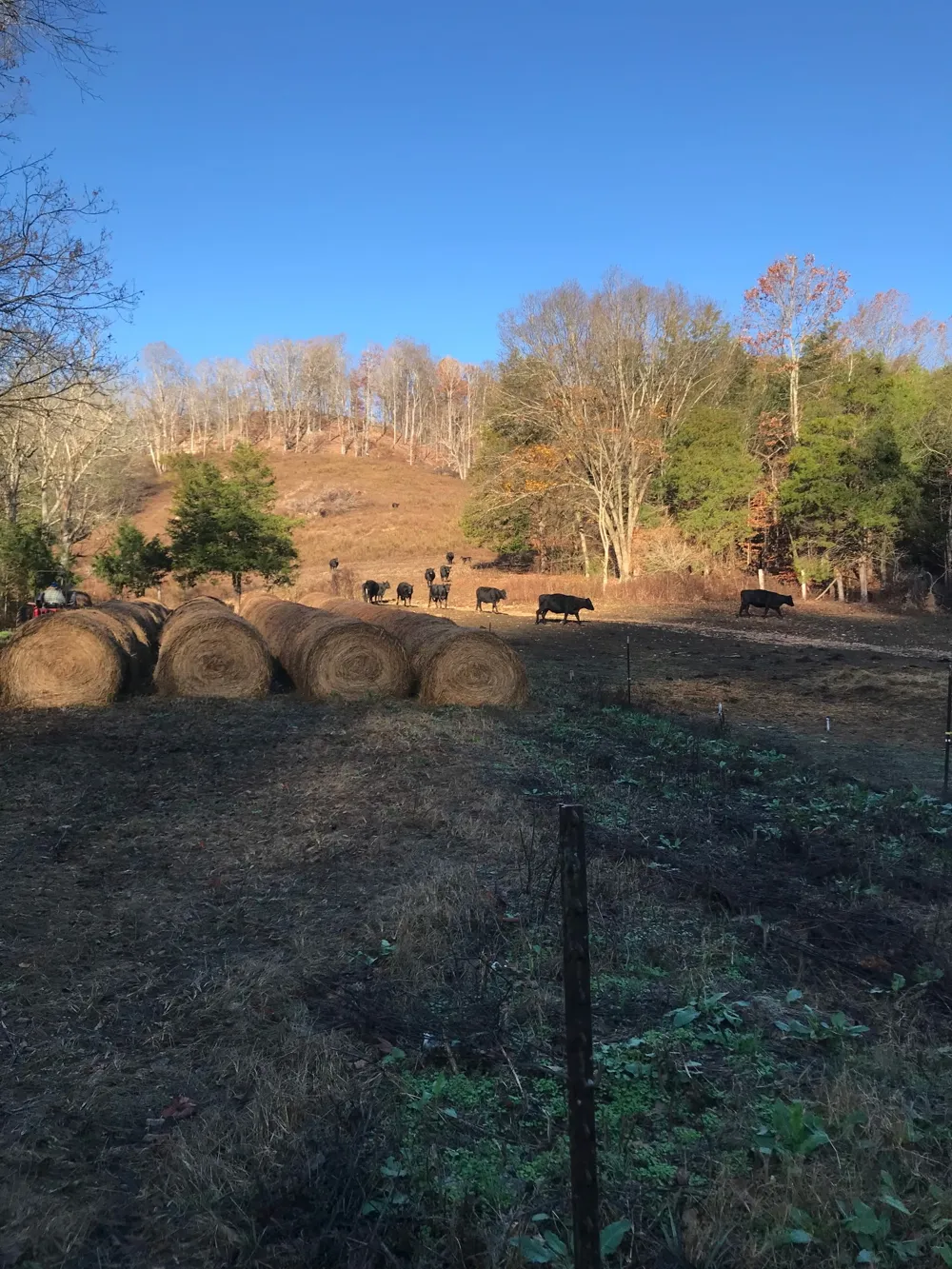 2949 Wilmouth Creek Rd Liberty, TN 37095