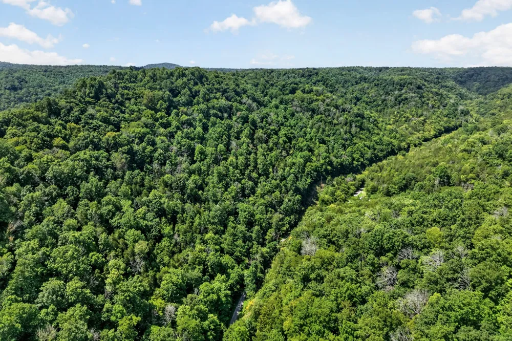 2949 Wilmouth Creek Rd Liberty, TN 37095