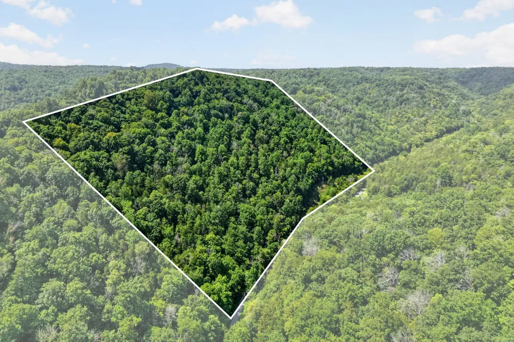 2949 Wilmouth Creek Rd Liberty, TN 37095