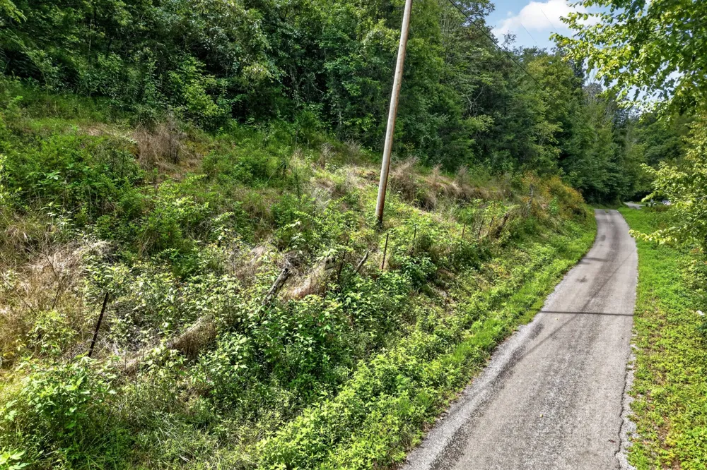 2949 Wilmouth Creek Rd Liberty, TN 37095