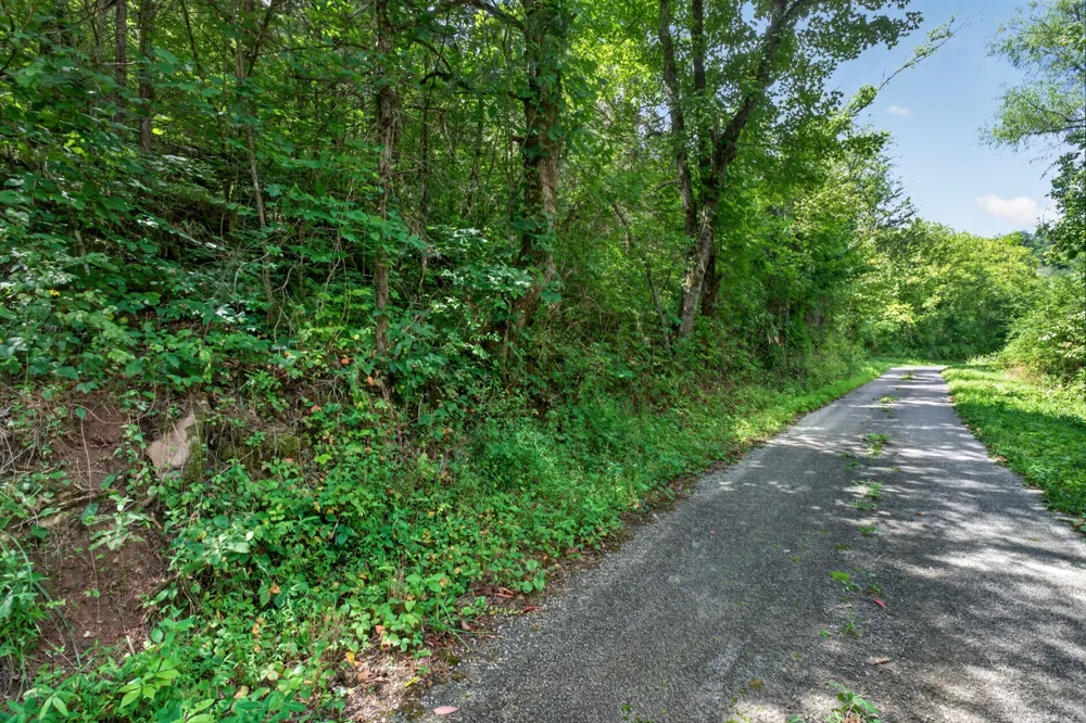 2949 Wilmouth Creek Rd Liberty, TN 37095
