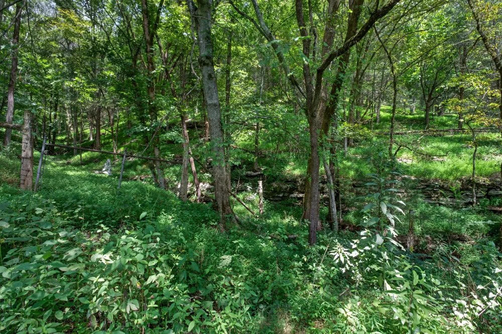 2949 Wilmouth Creek Rd Liberty, TN 37095