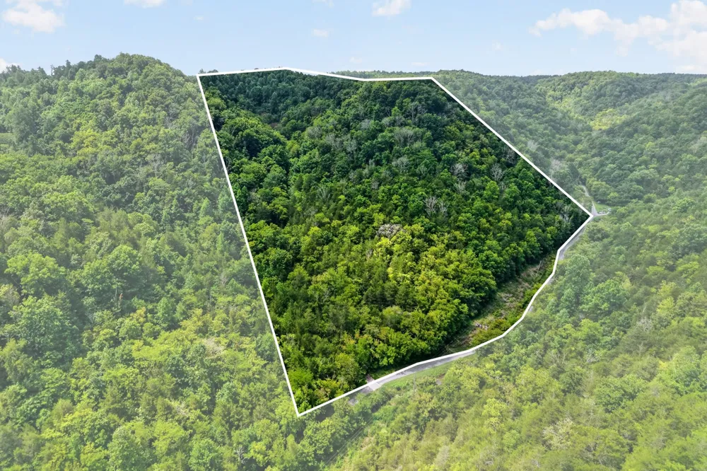 2949 Wilmouth Creek Rd Liberty, TN 37095