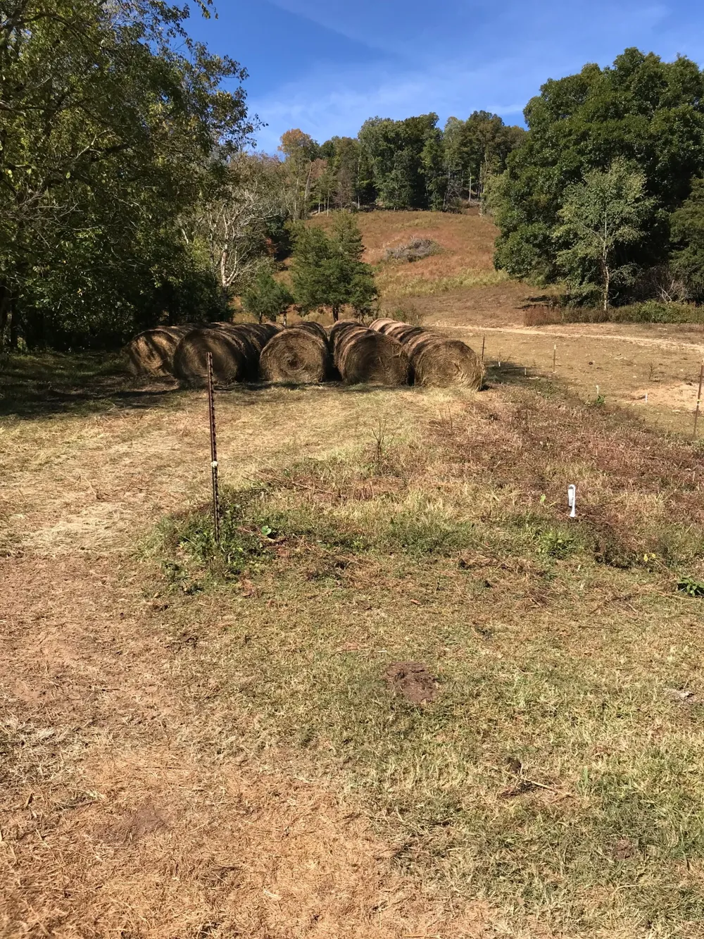 2949 Wilmouth Creek Rd Liberty, TN 37095