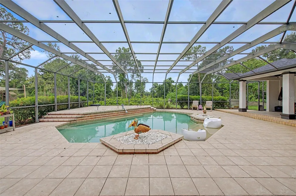 15532 LAKE GRACE DRIVE Odessa, FL 33556