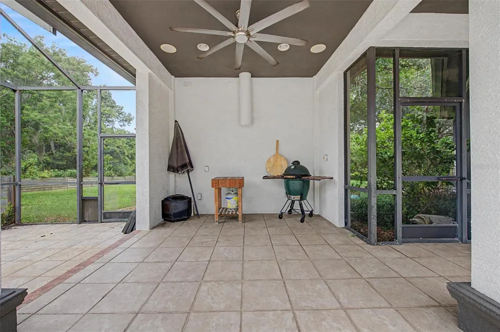 15532 LAKE GRACE DRIVE Odessa, FL 33556