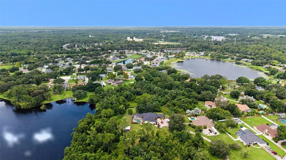 15532 LAKE GRACE DRIVE Odessa, FL 33556