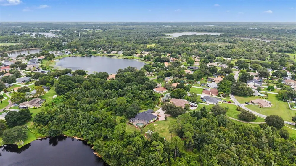 15532 LAKE GRACE DRIVE Odessa, FL 33556
