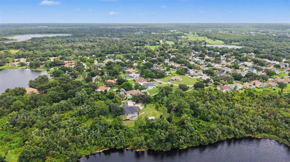 15532 LAKE GRACE DRIVE Odessa, FL 33556