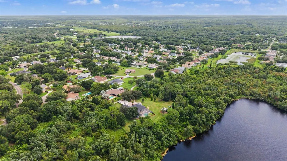 15532 LAKE GRACE DRIVE Odessa, FL 33556
