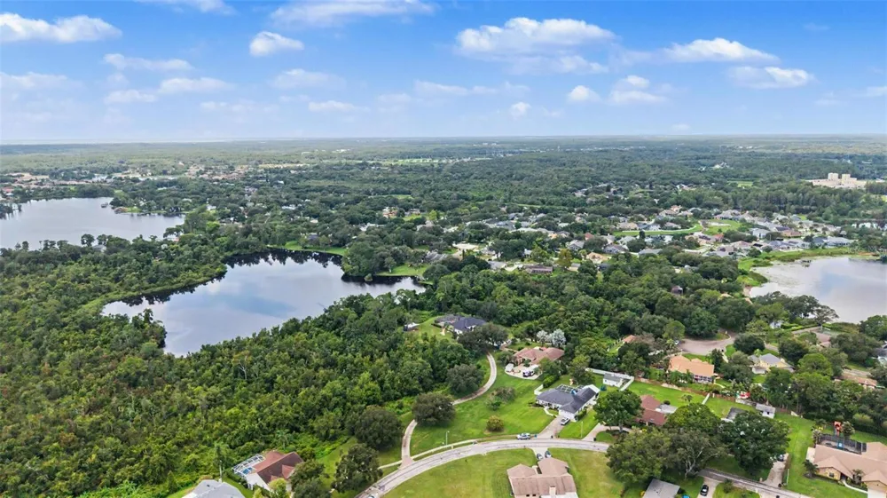 15532 LAKE GRACE DRIVE Odessa, FL 33556