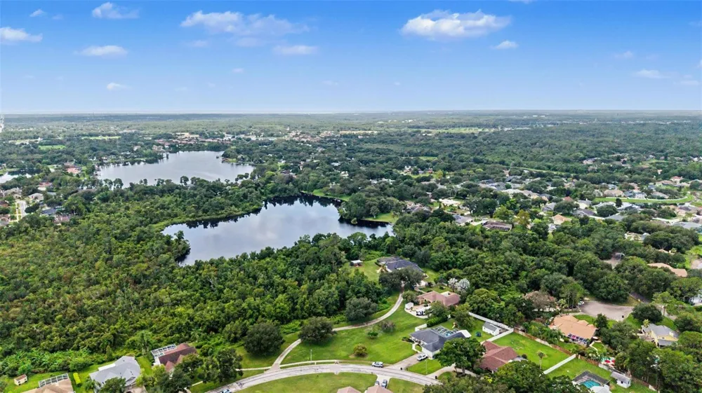 15532 LAKE GRACE DRIVE Odessa, FL 33556