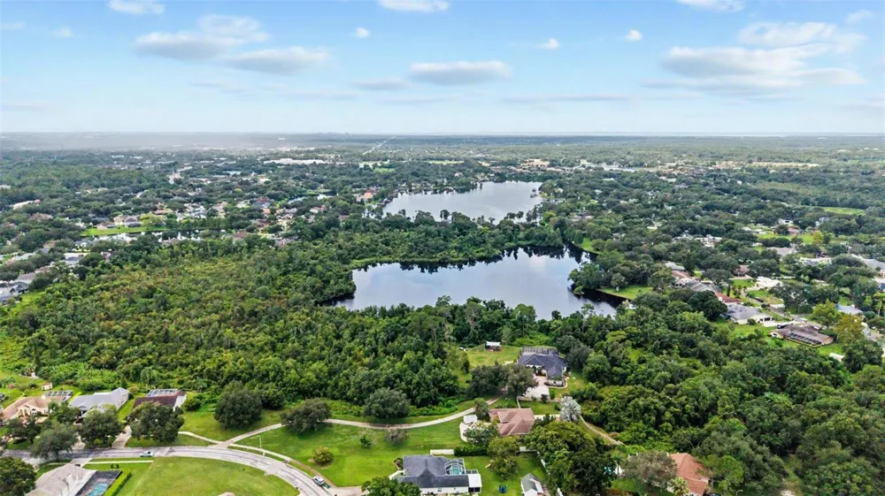 15532 LAKE GRACE DRIVE Odessa, FL 33556