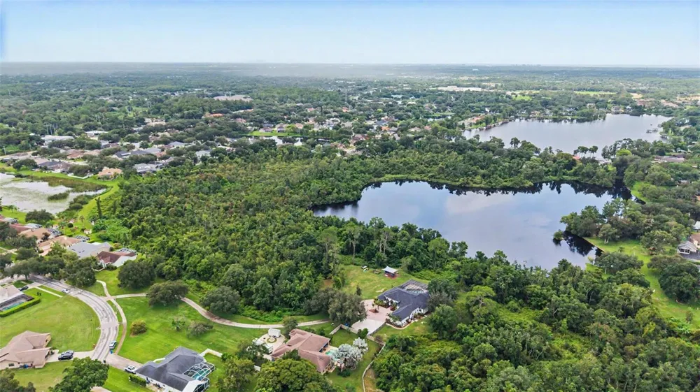 15532 LAKE GRACE DRIVE Odessa, FL 33556