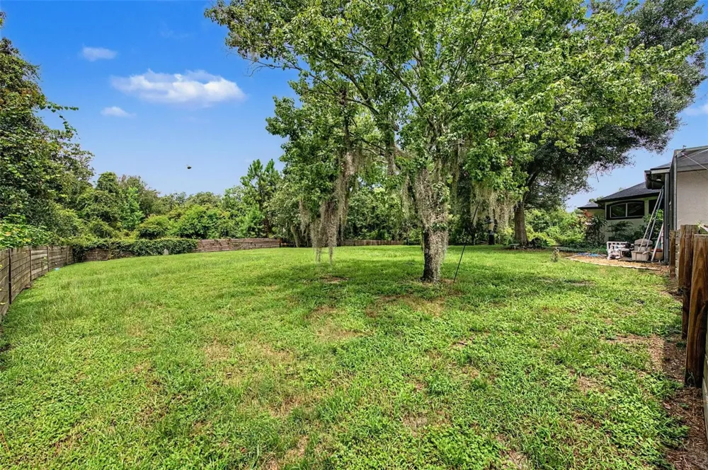 15532 LAKE GRACE DRIVE Odessa, FL 33556