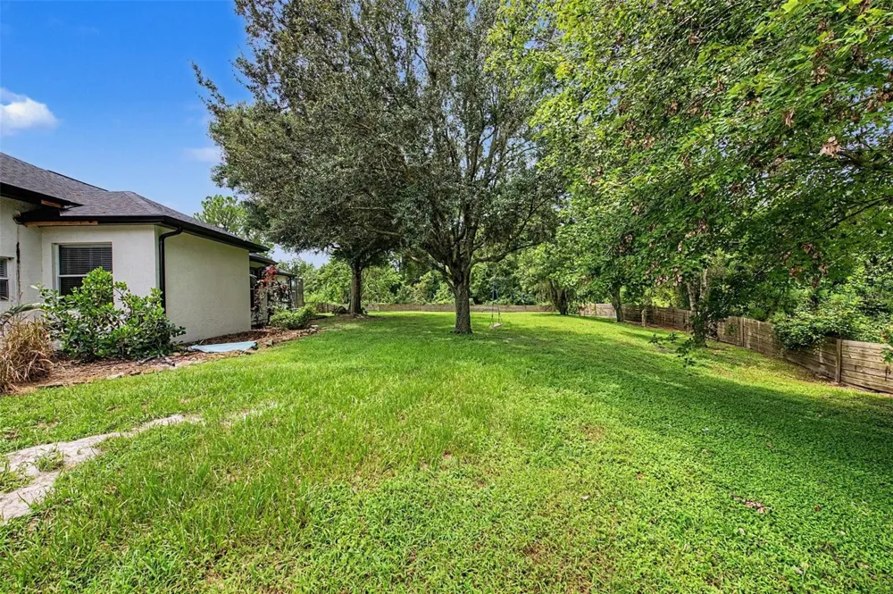 15532 LAKE GRACE DRIVE Odessa, FL 33556