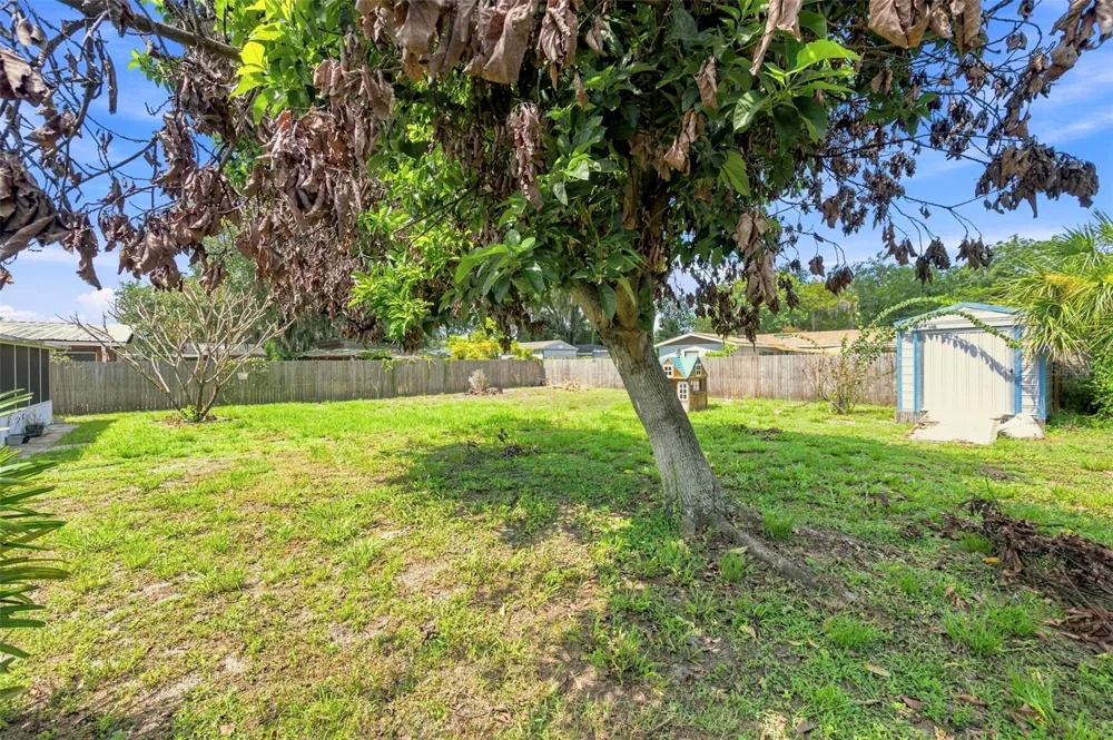 1655 FLORAL AVENUE Bartow, FL 33830