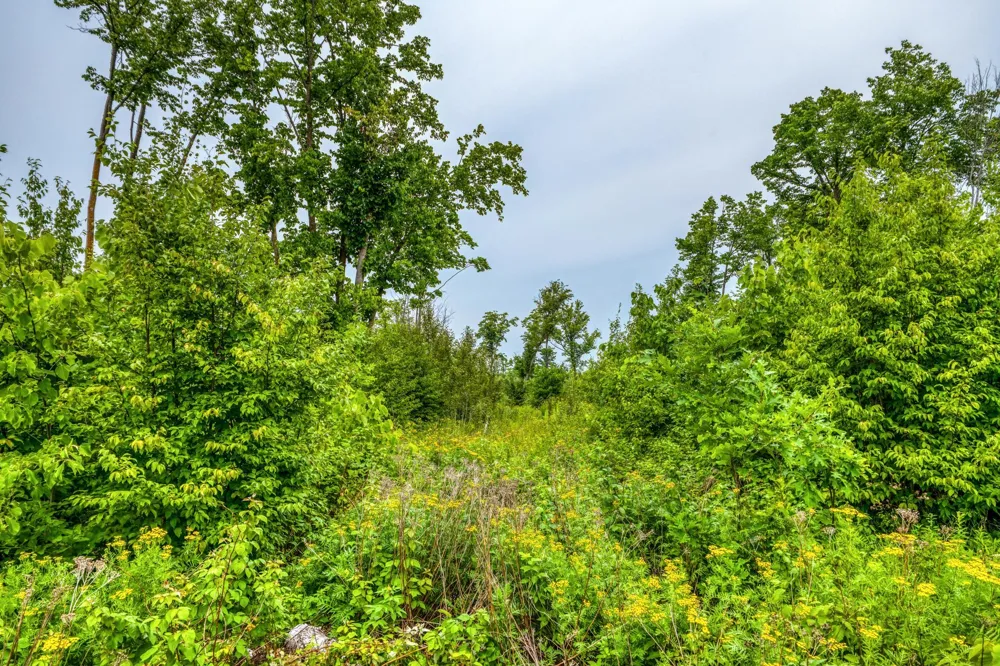 2432 Blackbird Road NE Cass Lake, MN 56633