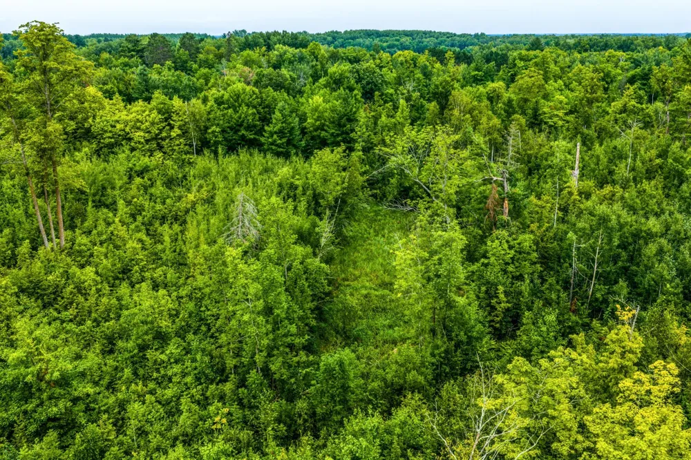 2432 Blackbird Road NE Cass Lake, MN 56633