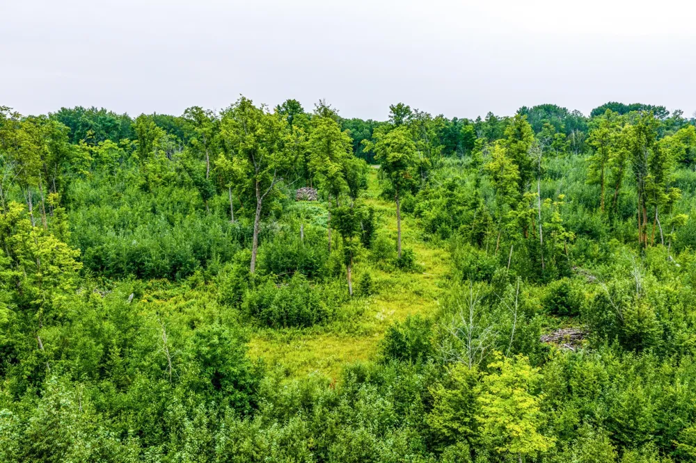 2432 Blackbird Road NE Cass Lake, MN 56633